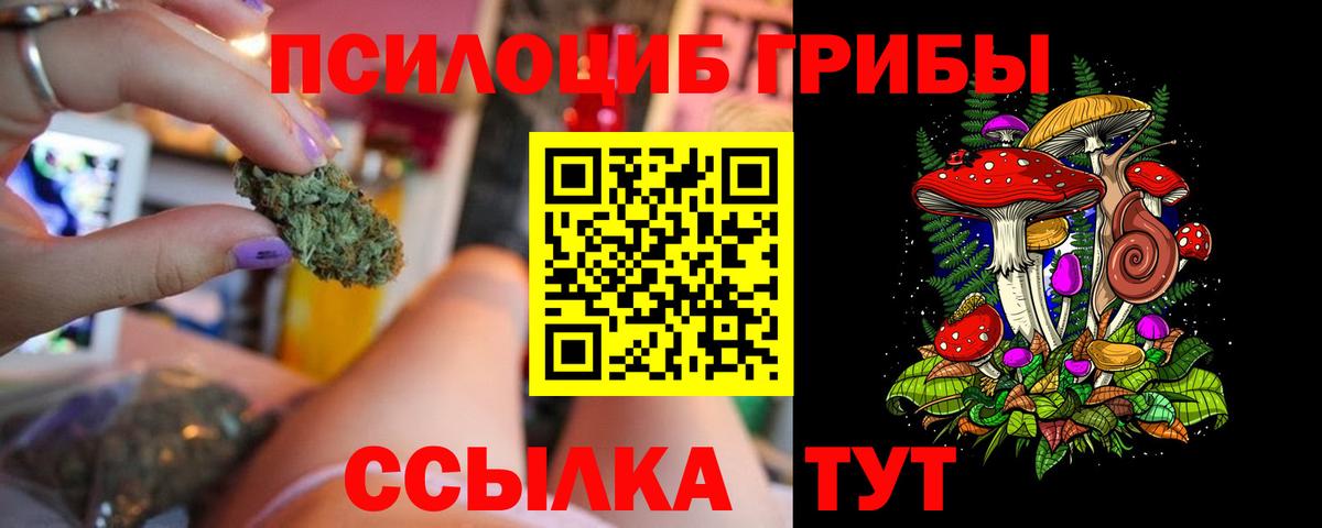 Псилоцибиновые грибы Psilocybine cubensis  Псилоцибиновые грибы Cubensis  Вход с VPN  Наро-Фоминск 